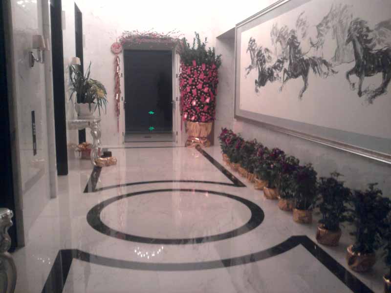 重(zhong)慶植物(wù)租賃公(gōng)司 重(zhong)慶植物(wù)租賃公(gōng)司